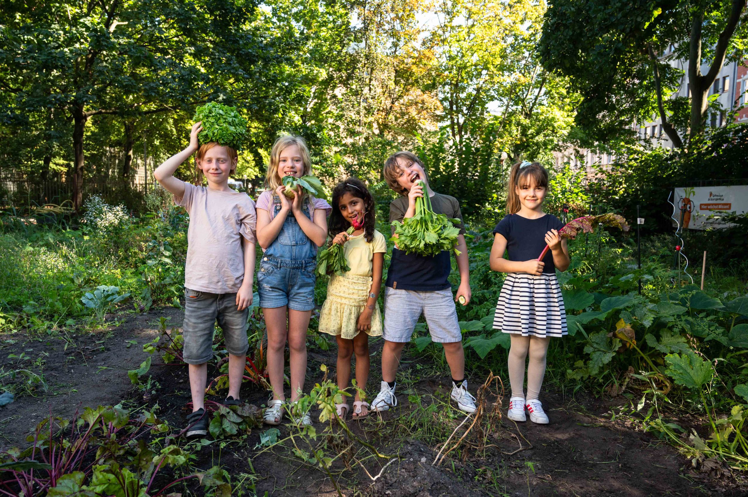 Frisch geerntet: Kinder zeigen stolz ihr selbst angebautes Gemüse auf dem Acker der GemüseAckerdemie.